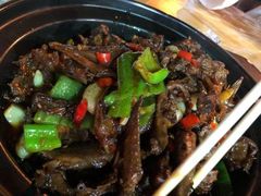 -龙小海荆沙鸽子店(瑞安街店)