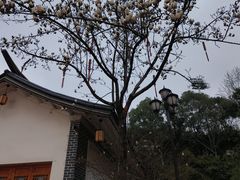 -白沙古井