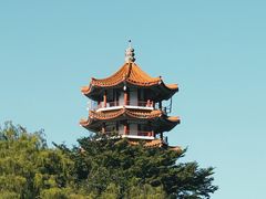 -深圳仙湖植物园
