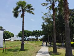 -椰风寨