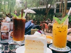 -Fern Forest Cafe