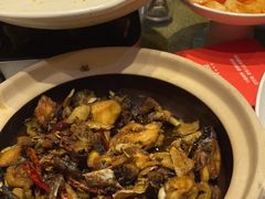 -饭怕鱼(阳光100店)