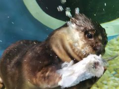 -成都浩海立方海洋公园