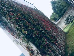 -十里红妆博物馆