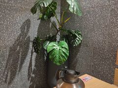 -佬肥猫(周浦万达店)