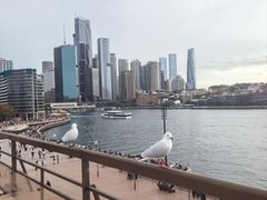 -悉尼歌剧院