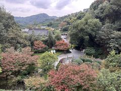 -十八棵（老龙井）御茶园(老龙井店)