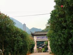 -桃花岛风景旅游区