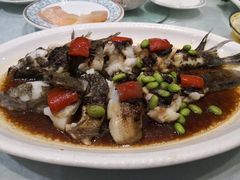 -金米箩大酒店(五角场店)