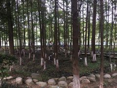 -金陵矩阵(聚宝山公园店)