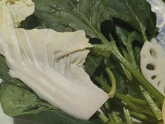 -东镇老火锅(城阳瑞阳路店)