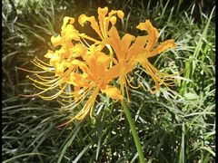 -泡泡玛特POPMART(合生汇店)