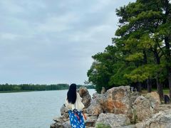 -东湖落雁景区