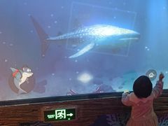 -沈阳海洋探索中心