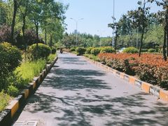 -铁道游击队纪念馆