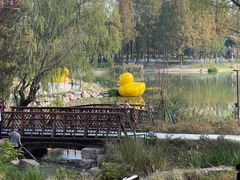 -宁波儿童公园(鄞州区)