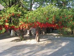 -济南大明湖景区
