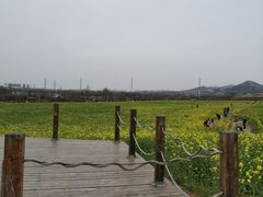 -西海岸生态观光园