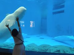 -成都浩海立方海洋公园