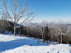 -大秃顶子山
