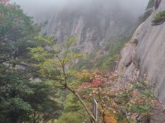 -高一点·徽味酥饼王·黄山烧饼
