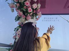 -琴岛之星摩天轮