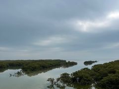 -北海金海湾红树林生态旅游区