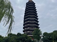 -红梅公园