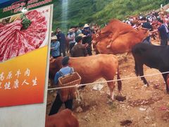 -贵州黄牛肉馆(韩村路店)