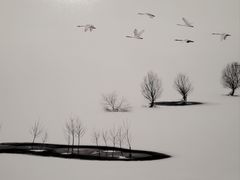 -罗红摄影艺术馆