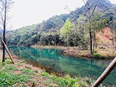 -雁荡老杨土菜馆