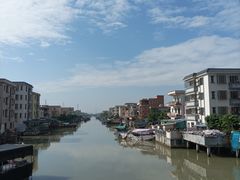 -大湾区中央湿地公园-十九涌