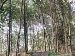 -梦姑塘文化公园