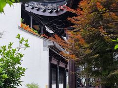 -青果巷历史文化街区