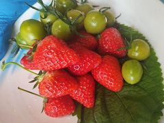 -77号渔船·蒸海鲜青岛菜(积米崖店)