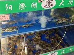 -阳澄湖大闸蟹·琼灵阁牌品牌连锁(吴中总店)