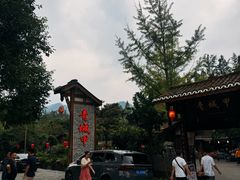 -青城甲(青城山店)