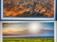 -罗红摄影艺术馆