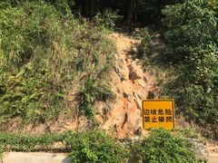 -火炉山森林公园