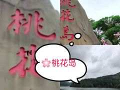-金鸡湖桃花岛