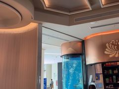 -谭厨中山传家菜.乳鸽.脆鲩鱼(华强北中航城店)