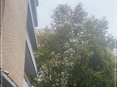 -浙江省中医院(湖滨院区)