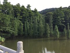 -广州市帽峰山景区