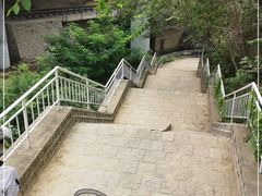 -白水寺森林公园