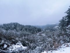-四明山国家森林公园