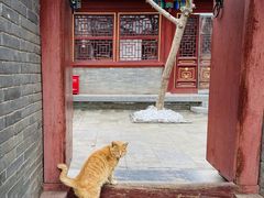 -荣国府