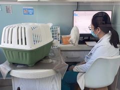 -纳吉亚猫专科动物医院·北北分院