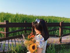 -西青郊野公园