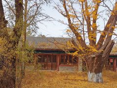 -阳台山自然风景区