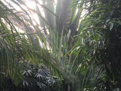 -龙达温泉生态城